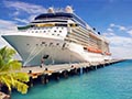 Cruise Visitors